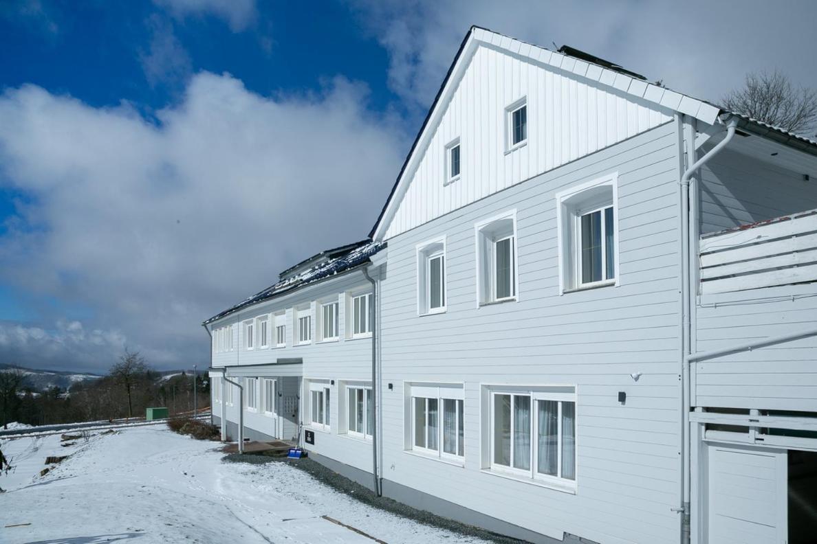 Lieblingsquartier Sankt Andreasberg Studio 9 Extérieur photo